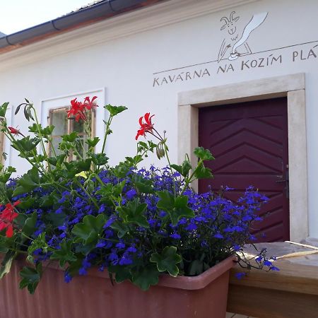 Cafe Kozi Placek Kutná Hora Dış mekan fotoğraf
