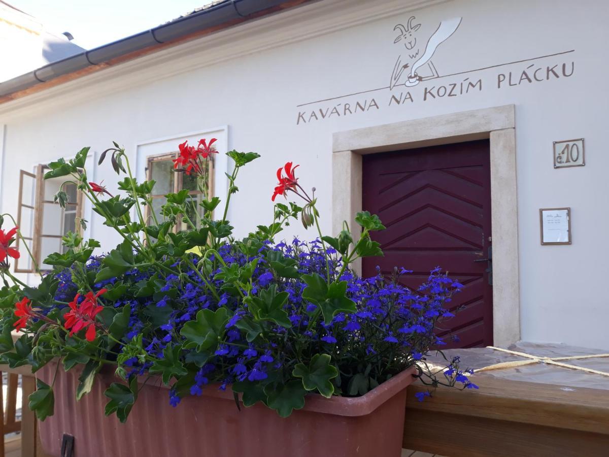 Cafe Kozi Placek Kutná Hora Dış mekan fotoğraf